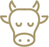 dairy cow icon